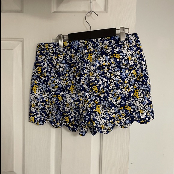 Shorts - Picture 2 of 2